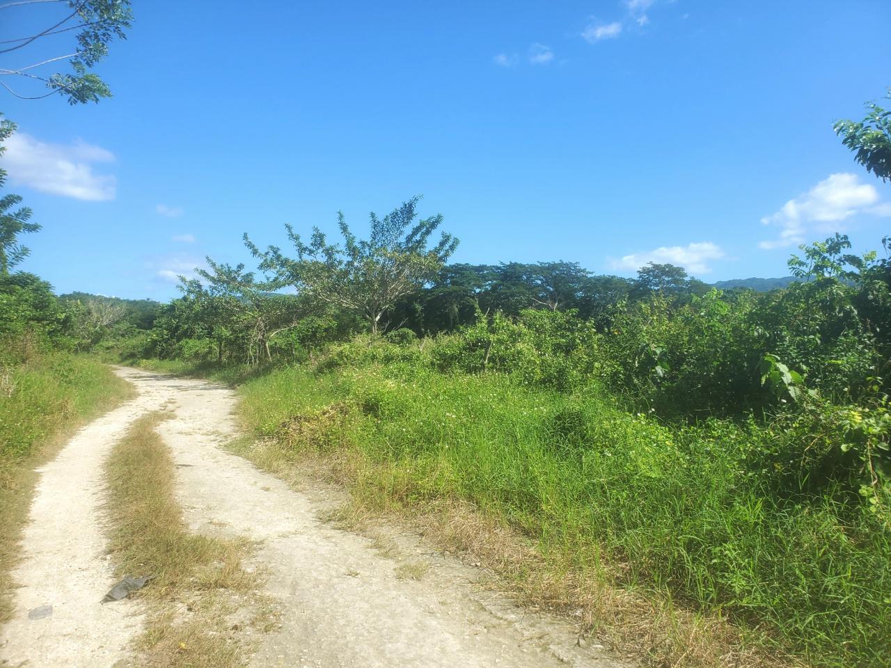 5.11-Acre-Riverfront-and-Mountain-View-Land-for-Sale-in-Sweet-River-Westmoreland-Jamaica Twelfth image of 9 Sweet River in Savanna-La-Mar, Westmoreland, Jamaica - property is For Sale