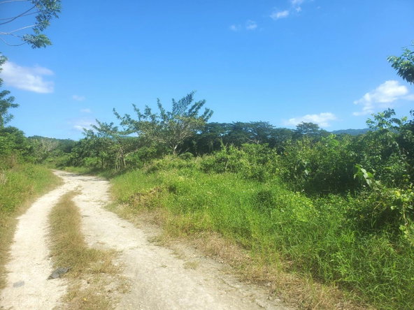 Twelfth image of 9 Sweet River in Savanna-La-Mar, Westmoreland, Jamaica - property is For Sale