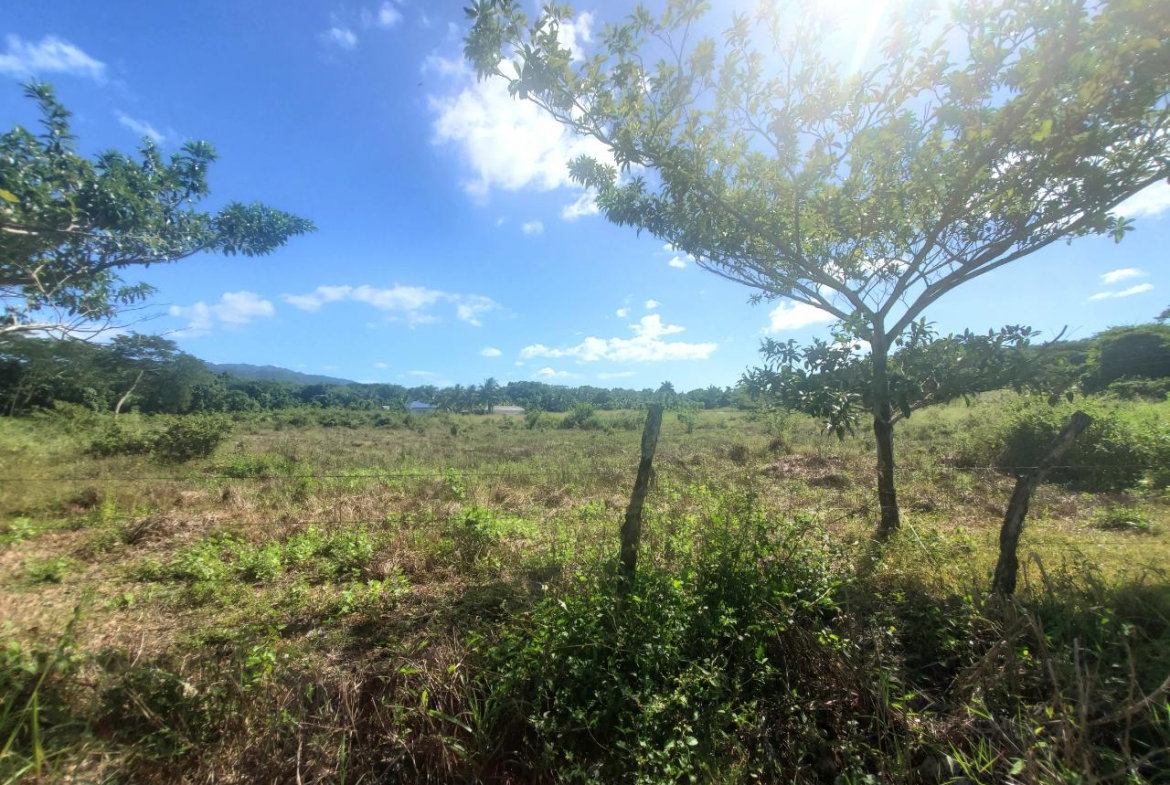 Thirteenth image of 9 Sweet River in Savanna-La-Mar, Westmoreland, Jamaica - property is For Sale