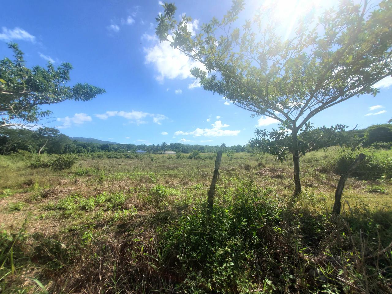 5.11-Acre-Riverfront-and-Mountain-View-Land-for-Sale-in-Sweet-River-Westmoreland-Jamaica Thirteenth image of 9 Sweet River in Savanna-La-Mar, Westmoreland, Jamaica - property is For Sale
