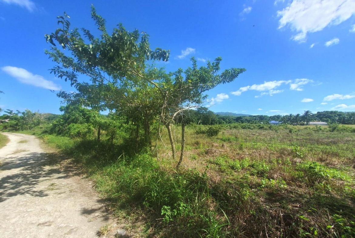 Fourteenth image of 9 Sweet River in Savanna-La-Mar, Westmoreland, Jamaica - property is For Sale