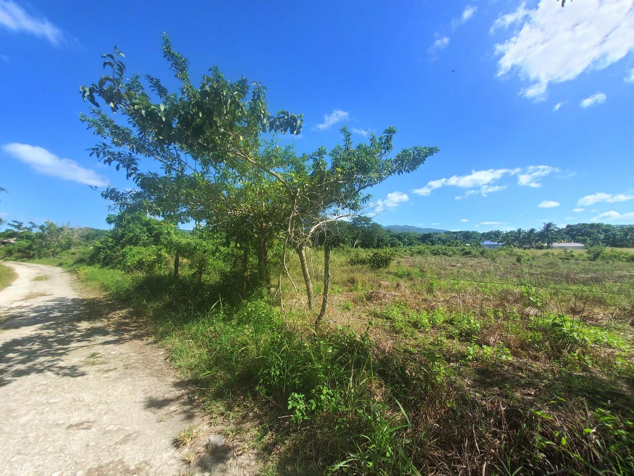 5.11-Acre-Riverfront-and-Mountain-View-Land-for-Sale-in-Sweet-River-Westmoreland-Jamaica Fourteenth image of 9 Sweet River in Savanna-La-Mar, Westmoreland, Jamaica - property is For Sale