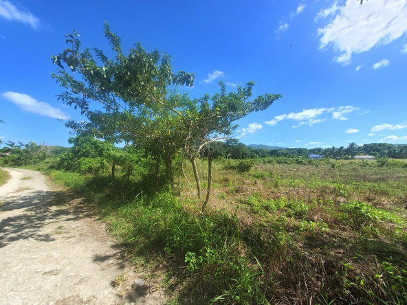 Fourteenth image of 9 Sweet River in Savanna-La-Mar, Westmoreland, Jamaica - property is For Sale