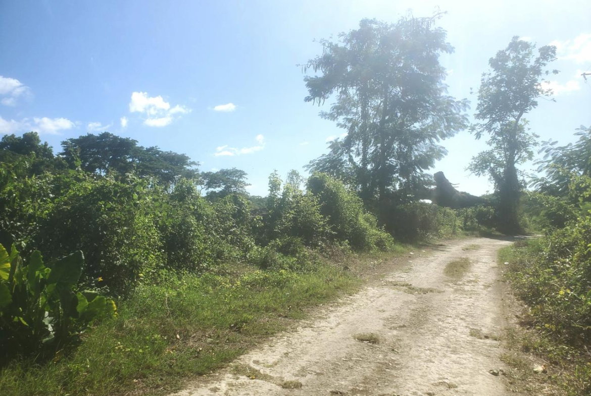 Seventeenth image of 9 Sweet River in Savanna-La-Mar, Westmoreland, Jamaica - property is For Sale