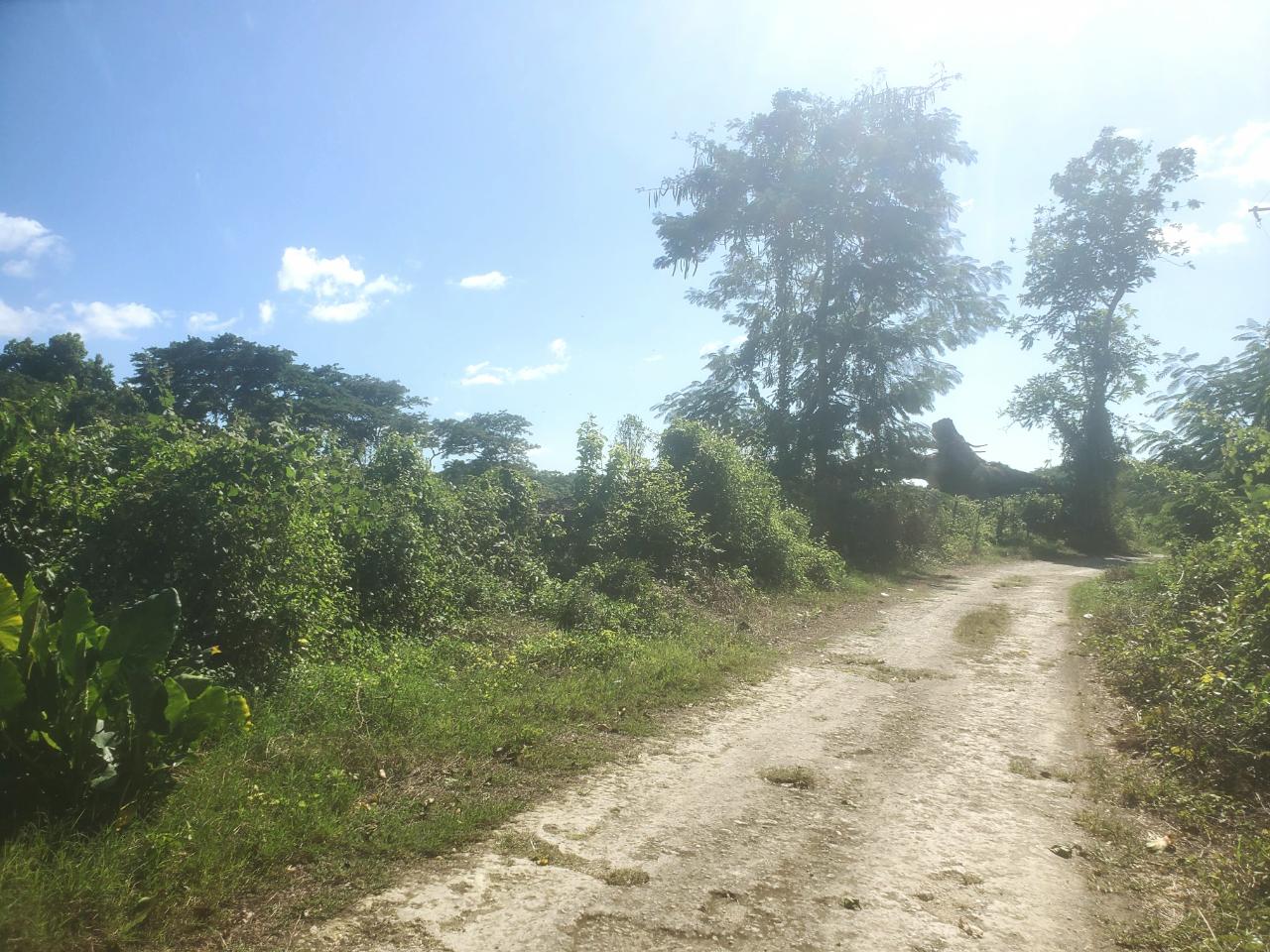 5.11-Acre-Riverfront-and-Mountain-View-Land-for-Sale-in-Sweet-River-Westmoreland-Jamaica Seventeenth image of 9 Sweet River in Savanna-La-Mar, Westmoreland, Jamaica - property is For Sale