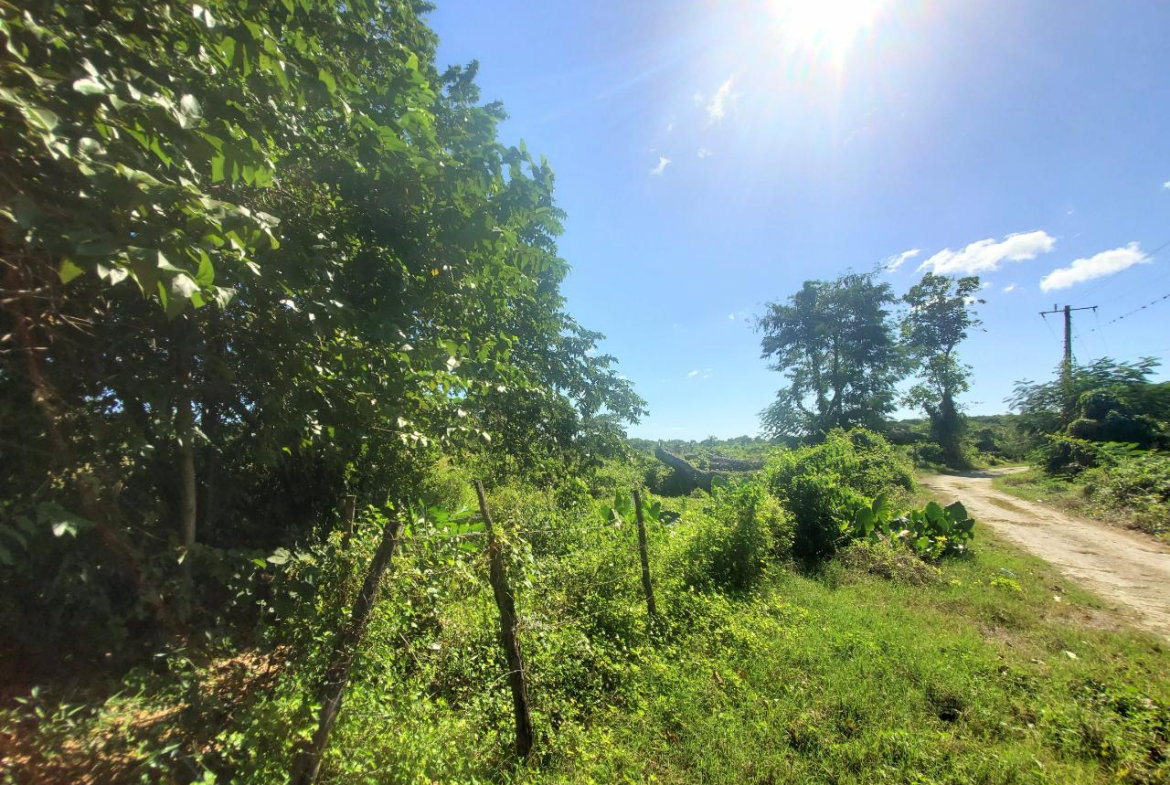 Nineteenth image of 9 Sweet River in Savanna-La-Mar, Westmoreland, Jamaica - property is For Sale