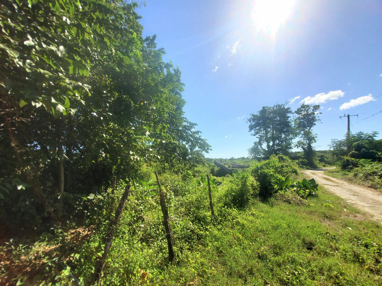 5.11-Acre-Riverfront-and-Mountain-View-Land-for-Sale-in-Sweet-River-Westmoreland-Jamaica Nineteenth image of 9 Sweet River in Savanna-La-Mar, Westmoreland, Jamaica - property is For Sale