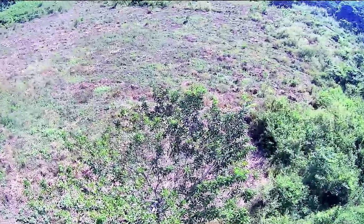 Third image of 9 Sweet River in Savanna-La-Mar, Westmoreland, Jamaica - property is For Sale