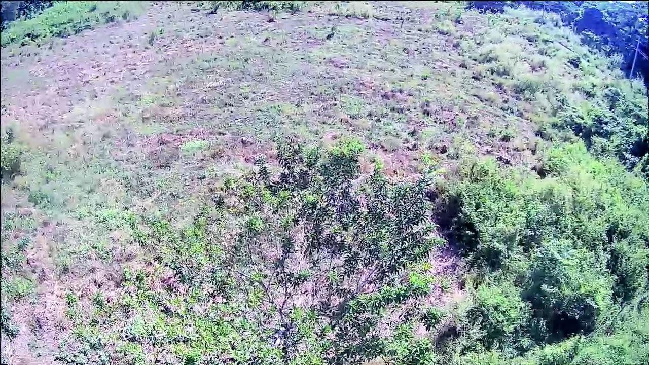 5.11-Acre-Riverfront-and-Mountain-View-Land-for-Sale-in-Sweet-River-Westmoreland-Jamaica Third image of 9 Sweet River in Savanna-La-Mar, Westmoreland, Jamaica - property is For Sale