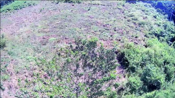 Third image of 9 Sweet River in Savanna-La-Mar, Westmoreland, Jamaica - property is For Sale