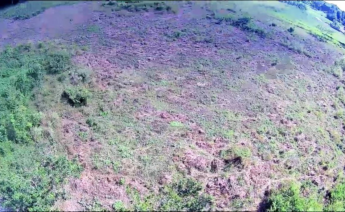 Fifth image of 9 Sweet River in Savanna-La-Mar, Westmoreland, Jamaica - property is For Sale