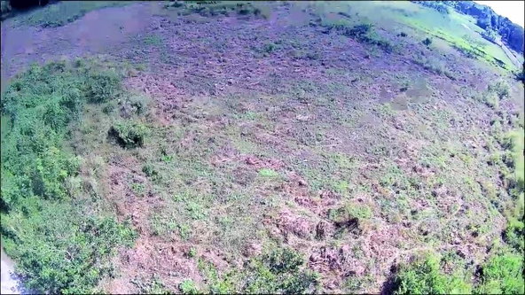 Fifth image of 9 Sweet River in Savanna-La-Mar, Westmoreland, Jamaica - property is For Sale