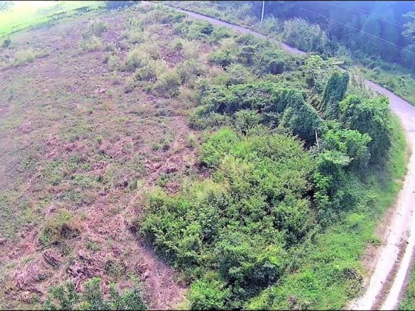 First image of 9 Sweet River in Savanna-La-Mar, Westmoreland, Jamaica - property is For Sale