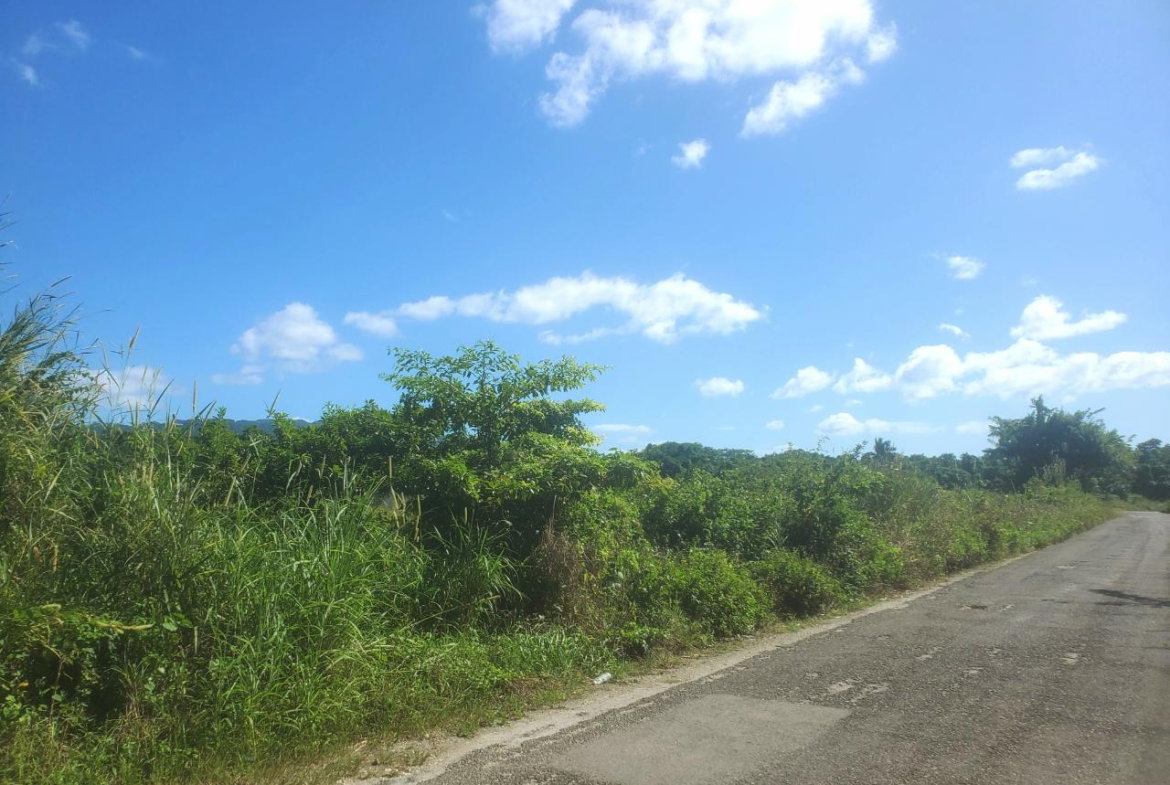 Tenth image of 9 Sweet River in Savanna-La-Mar, Westmoreland, Jamaica - property is For Sale