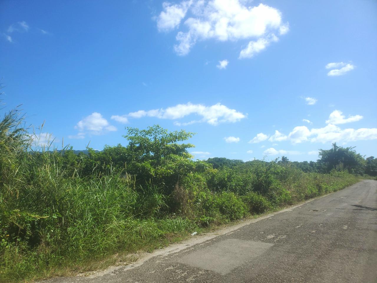 5.11-Acre-Riverfront-and-Mountain-View-Land-for-Sale-in-Sweet-River-Westmoreland-Jamaica Tenth image of 9 Sweet River in Savanna-La-Mar, Westmoreland, Jamaica - property is For Sale