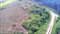 First image of 9 Sweet River in Savanna-La-Mar, Westmoreland, Jamaica - property is For Sale