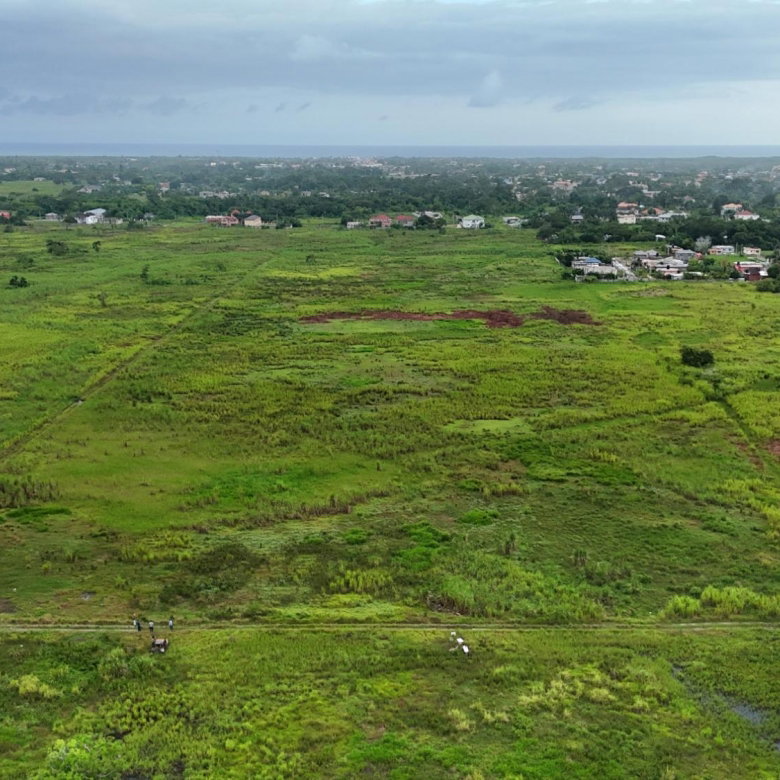 First image of 1c-9c Bath Pen in SAVANNA LA MAR, Westmoreland, Jamaica - property is For Sale