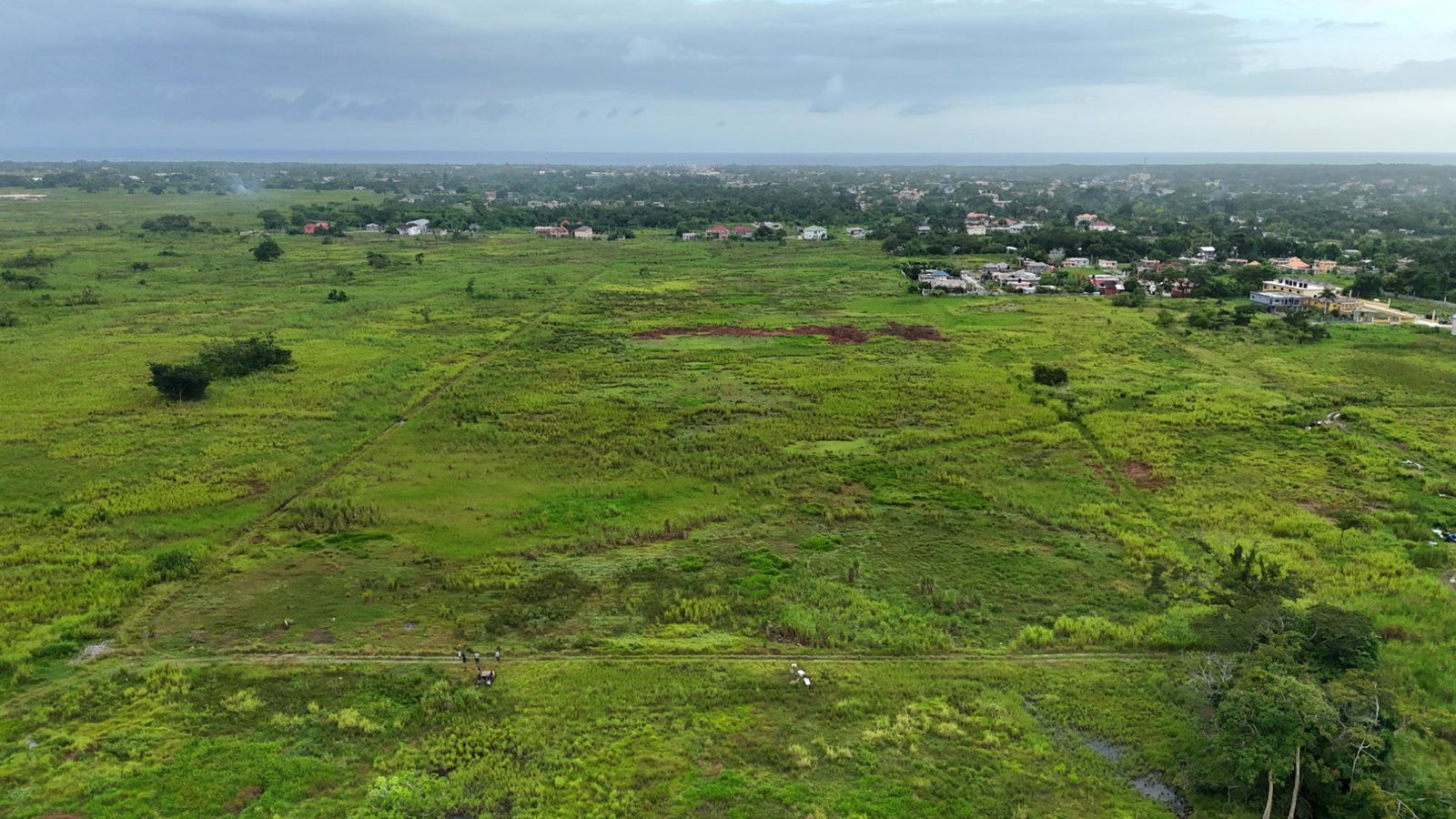 50-Acre-Development-Land-for-Sale-in-Bath-Pen-Savanna-la-Mar-Westmoreland-Prime-Growth-Area First image of 1c-9c Bath Pen in SAVANNA LA MAR, Westmoreland, Jamaica - property is For Sale