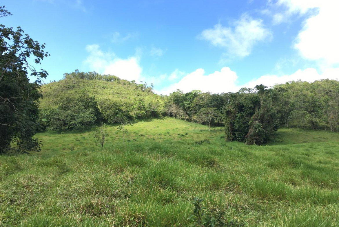 Second image of Chippenham Park, Bamboo in Bamboo, St. Ann, Jamaica - property is For Sale