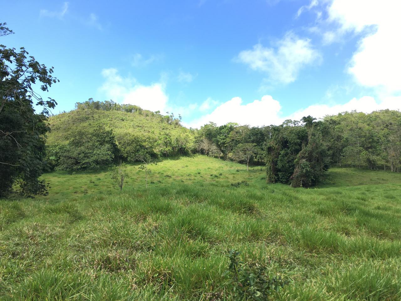 6.9-Acre-Development-Lot-in-Chippenham-Park-Bamboo-St.-Ann-Jamaica-Near-Runaway-Bay-Ocho-Rios Second image of Chippenham Park, Bamboo in Bamboo, St. Ann, Jamaica - property is For Sale
