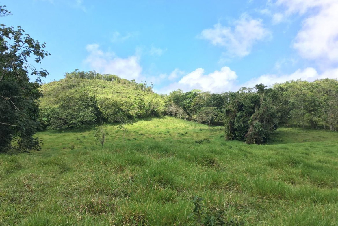Third image of Chippenham Park, Bamboo in Bamboo, St. Ann, Jamaica - property is For Sale