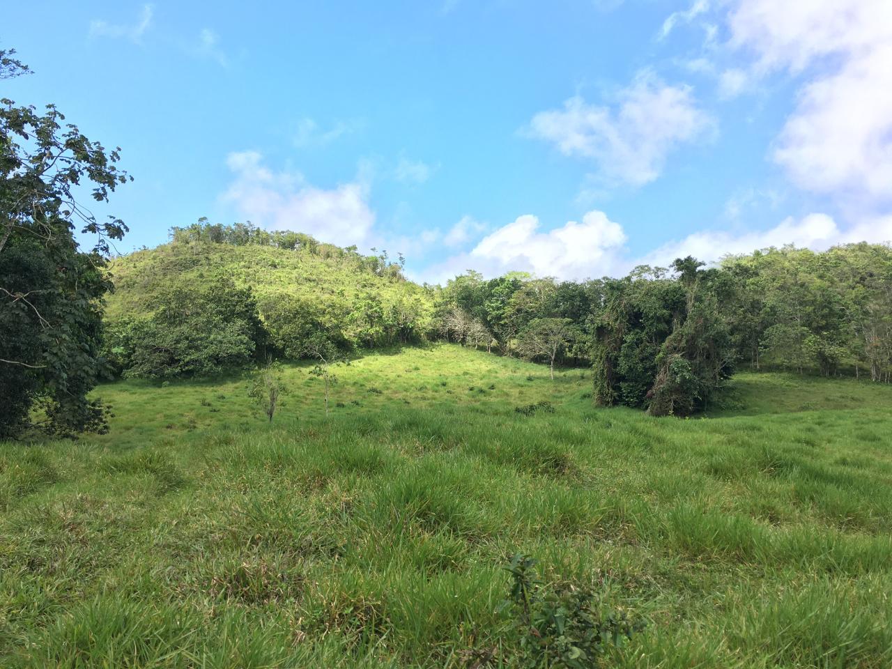 6.9-Acre-Development-Lot-in-Chippenham-Park-Bamboo-St.-Ann-Jamaica-Near-Runaway-Bay-Ocho-Rios Third image of Chippenham Park, Bamboo in Bamboo, St. Ann, Jamaica - property is For Sale