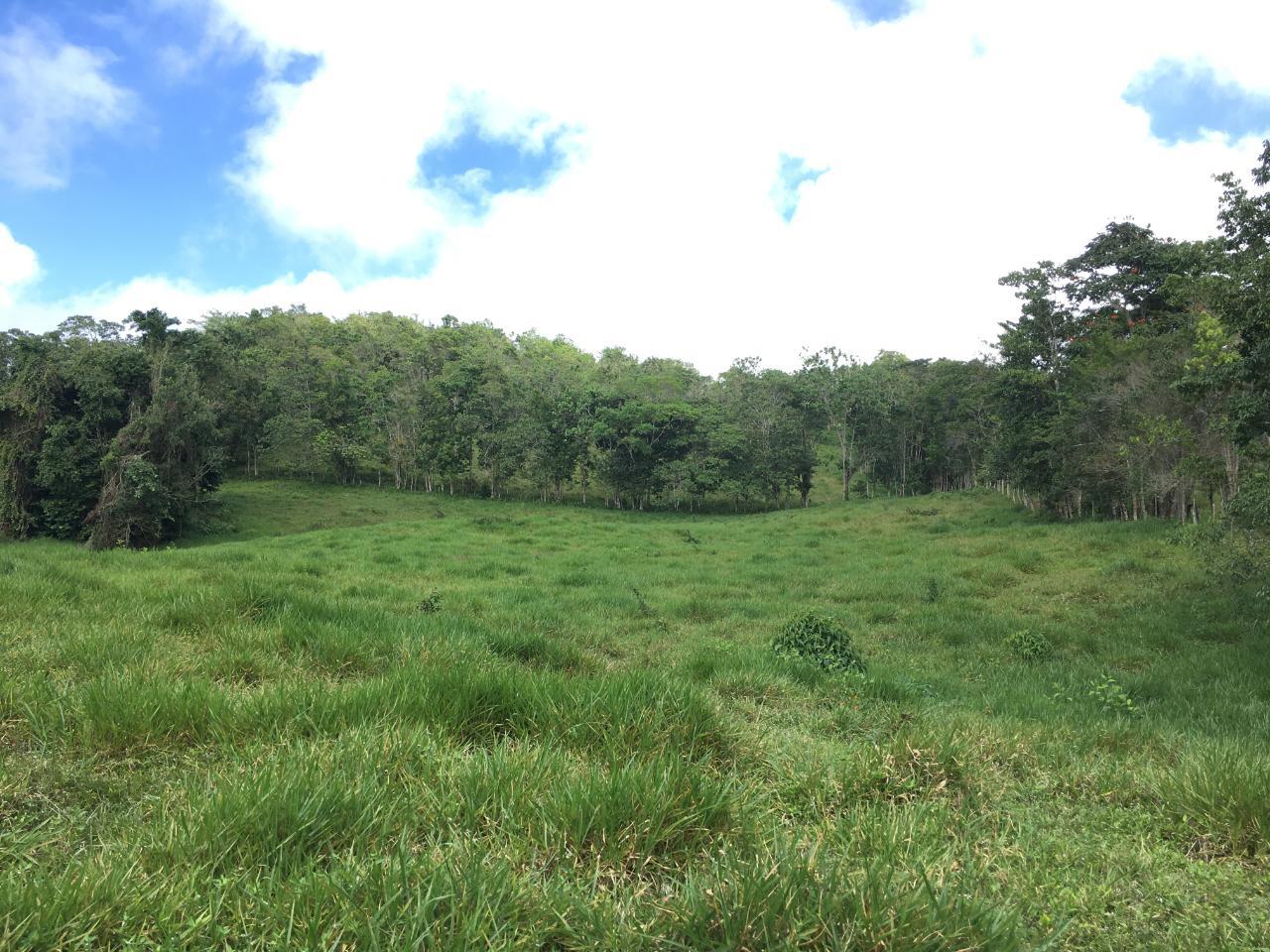 6.9-Acre-Development-Lot-in-Chippenham-Park-Bamboo-St.-Ann-Jamaica-Near-Runaway-Bay-Ocho-Rios Fourth image of Chippenham Park, Bamboo in Bamboo, St. Ann, Jamaica - property is For Sale