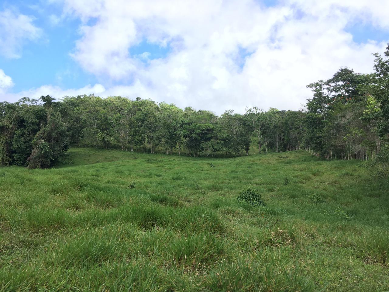 6.9-Acre-Development-Lot-in-Chippenham-Park-Bamboo-St.-Ann-Jamaica-Near-Runaway-Bay-Ocho-Rios Fifth image of Chippenham Park, Bamboo in Bamboo, St. Ann, Jamaica - property is For Sale