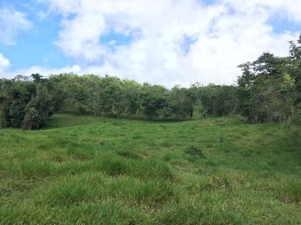 Fifth image of Chippenham Park, Bamboo in Bamboo, St. Ann, Jamaica - property is For Sale