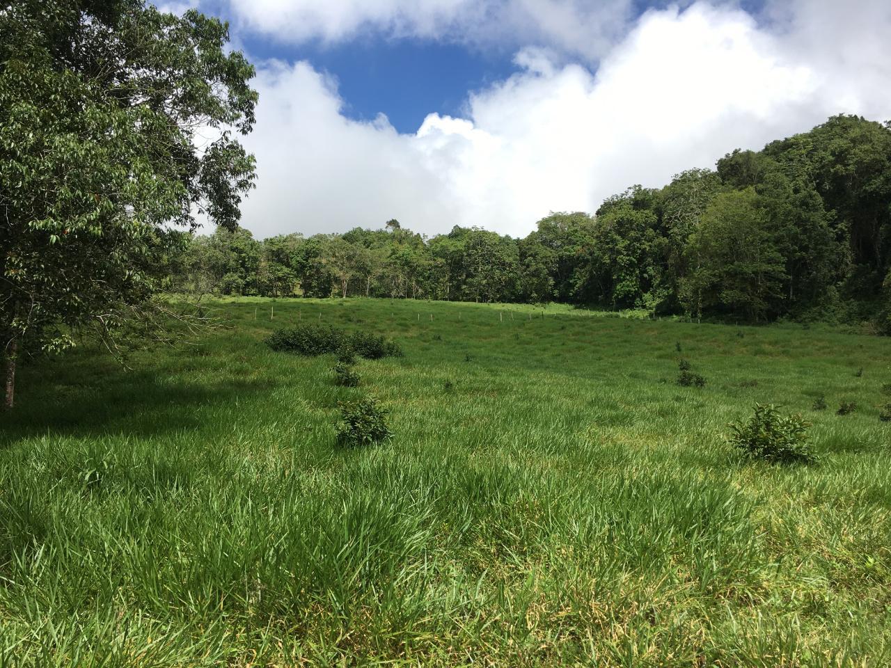 6.9-Acre-Development-Lot-in-Chippenham-Park-Bamboo-St.-Ann-Jamaica-Near-Runaway-Bay-Ocho-Rios Sixth image of Chippenham Park, Bamboo in Bamboo, St. Ann, Jamaica - property is For Sale