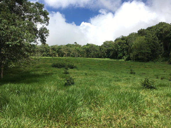 Sixth image of Chippenham Park, Bamboo in Bamboo, St. Ann, Jamaica - property is For Sale