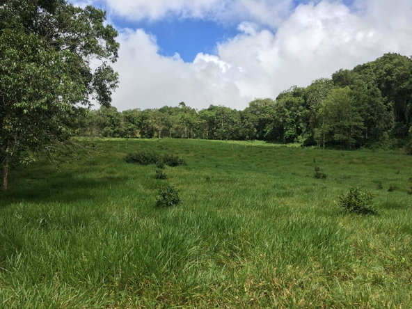 Seventh image of Chippenham Park, Bamboo in Bamboo, St. Ann, Jamaica - property is For Sale