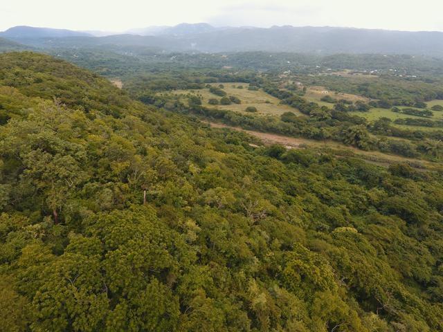 Fifth image of 1 Sevens Estate, May Pen in May Pen, Clarendon, Jamaica - property is For Sale