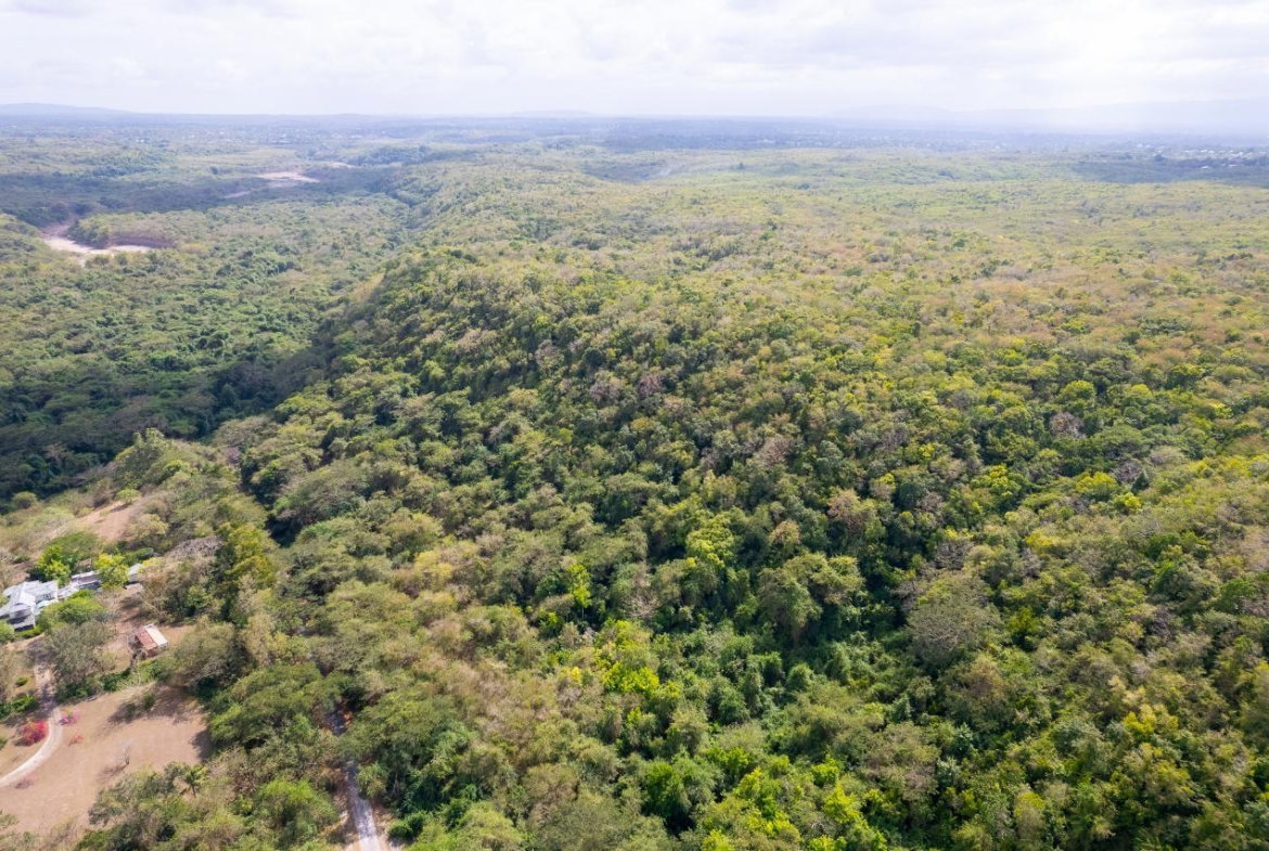 Sixth image of 1 Sevens Estate, May Pen in May Pen, Clarendon, Jamaica - property is For Sale