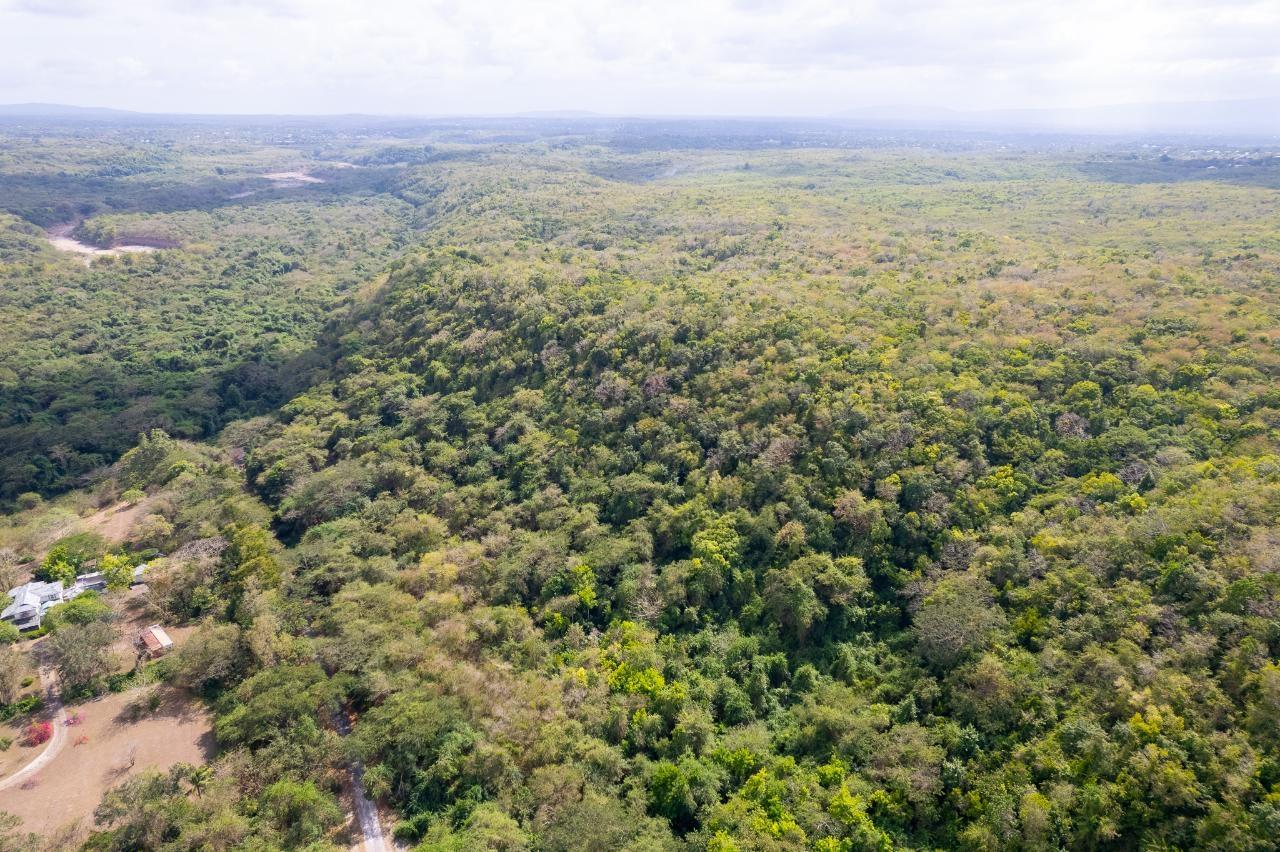 600-Acres-of-Prime-Development-Land-for-Sale-in-May-Pen-Clarendon-Jamaica Sixth image of 1 Sevens Estate, May Pen in May Pen, Clarendon, Jamaica - property is For Sale