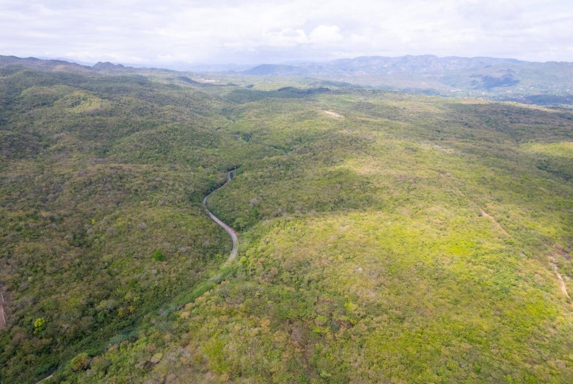 Eighth image of 1 Sevens Estate, May Pen in May Pen, Clarendon, Jamaica - property is For Sale