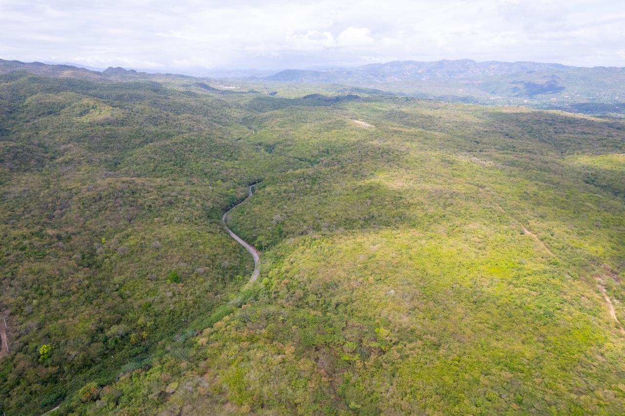600-Acres-of-Prime-Development-Land-for-Sale-in-May-Pen-Clarendon-Jamaica Eighth image of 1 Sevens Estate, May Pen in May Pen, Clarendon, Jamaica - property is For Sale