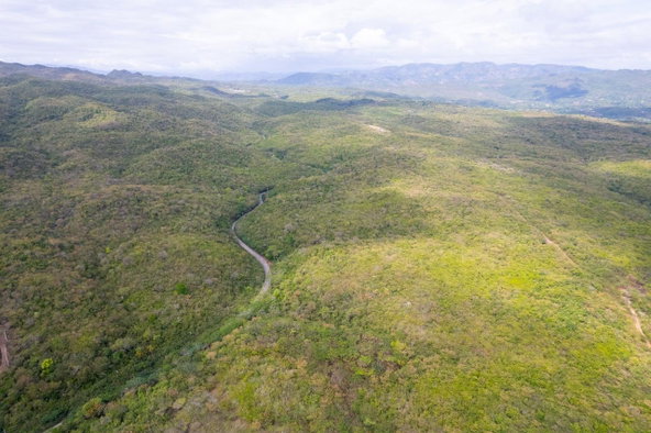 Eighth image of 1 Sevens Estate, May Pen in May Pen, Clarendon, Jamaica - property is For Sale