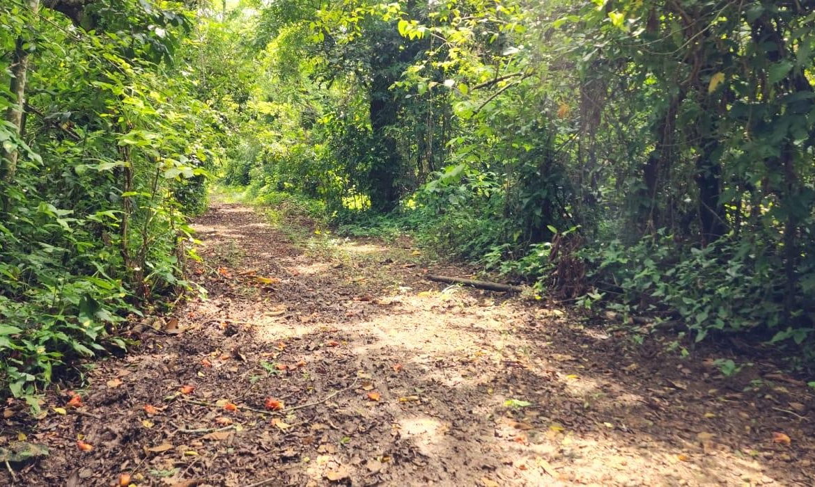 Third image of Lot 80- Rose Hall, St. Catherine in Linstead, St. Catherine, Jamaica - property is For Sale