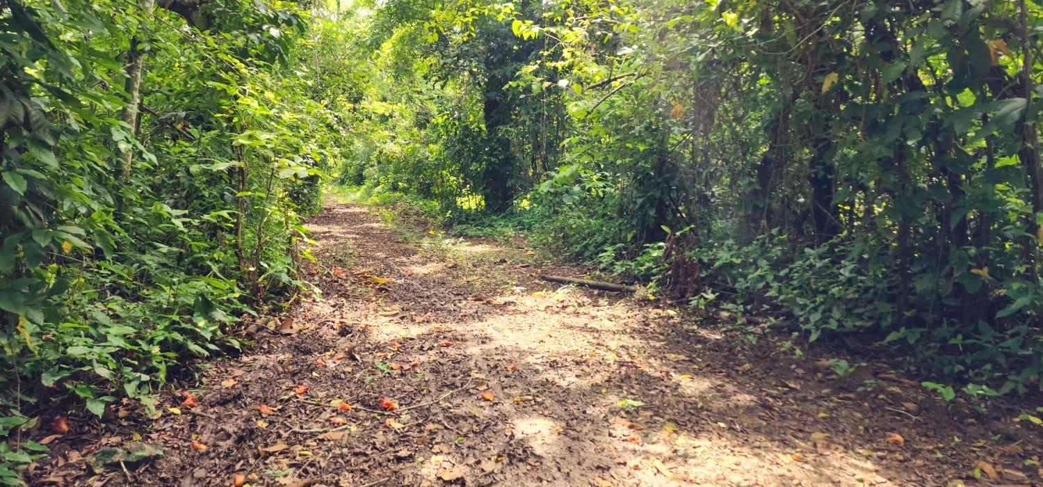 Third image of Lot 80- Rose Hall, St. Catherine in Linstead, St. Catherine, Jamaica - property is For Sale