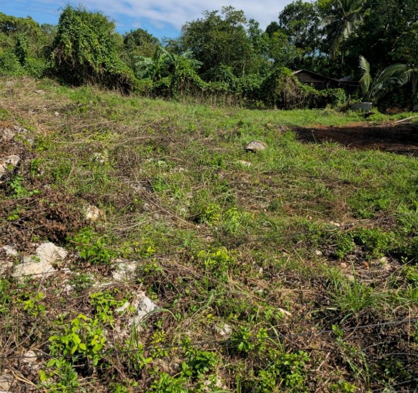 Eleventh image of Ridgeview Heights in KITSON TOWN, St. Catherine, Jamaica - property is For Sale