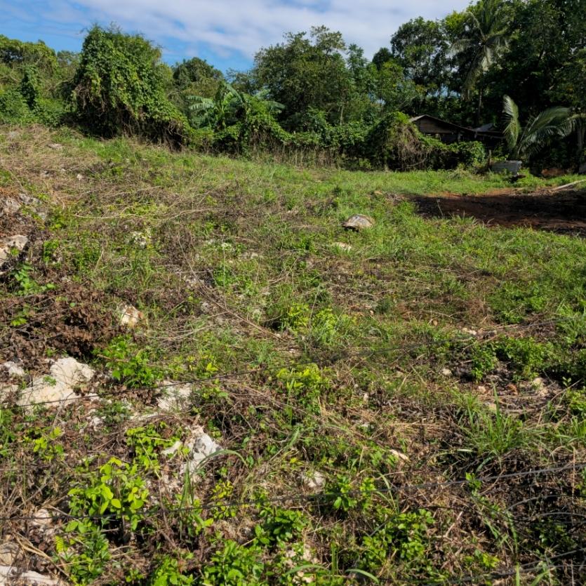 Eleventh image of Ridgeview Heights in KITSON TOWN, St. Catherine, Jamaica - property is For Sale