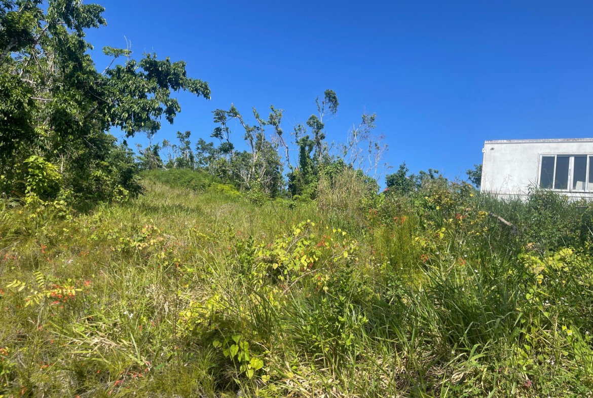 Second image of 7 Huntley in Browns Town, St. Ann, Jamaica - property is For Sale