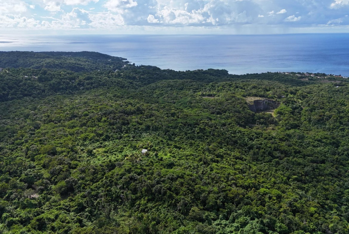 Fifth image of 275 Haughton Court Hanover in Haughton Court, Hanover, Jamaica - property is For Sale