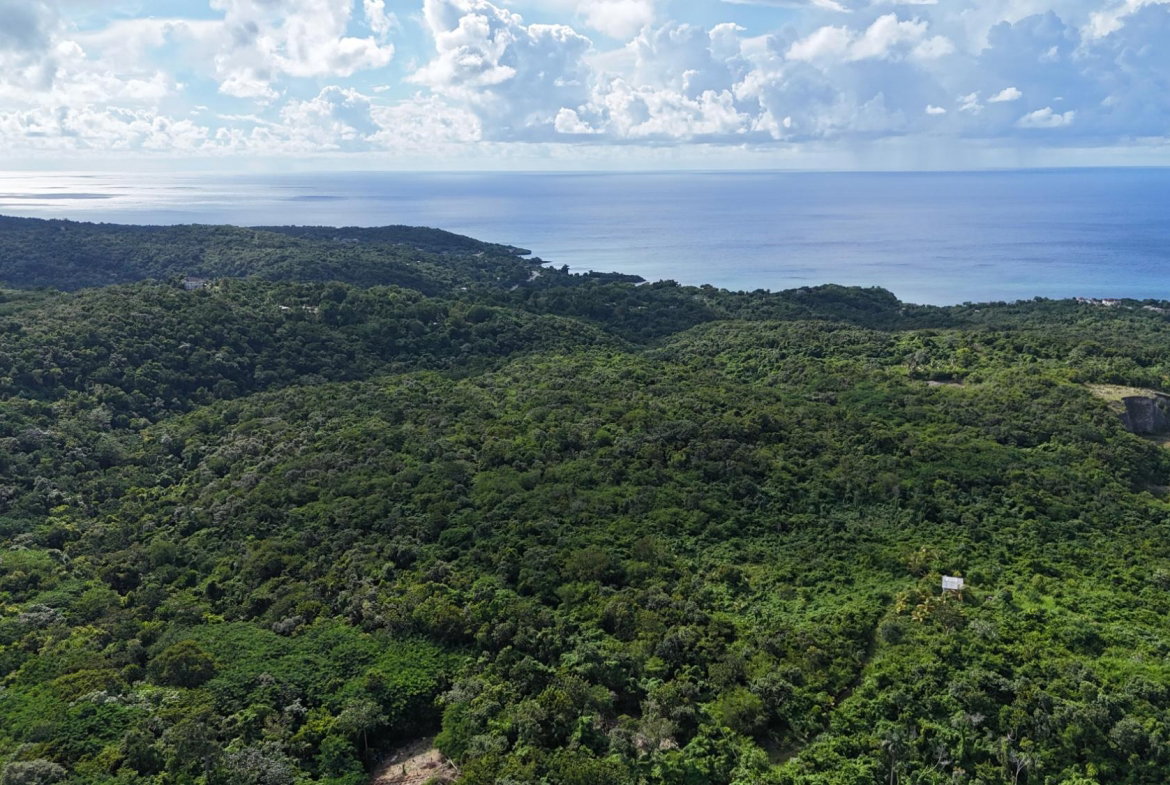 Sixth image of 275 Haughton Court Hanover in Haughton Court, Hanover, Jamaica - property is For Sale