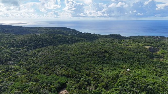 Sixth image of 275 Haughton Court Hanover in Haughton Court, Hanover, Jamaica - property is For Sale