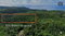 First image of 275 Haughton Court Hanover in Haughton Court, Hanover, Jamaica - property is For Sale