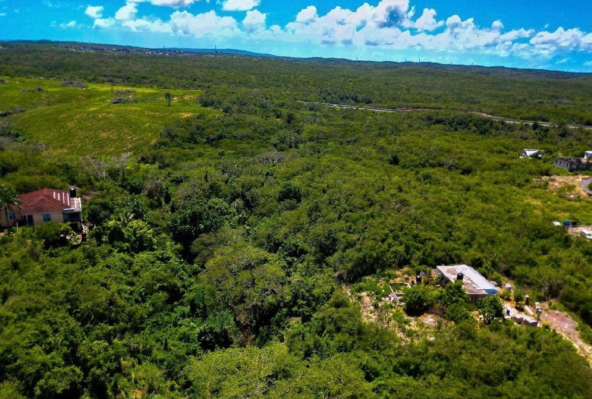 Third image of Toby Abbots in Inverness, Clarendon, Jamaica - property is For Sale