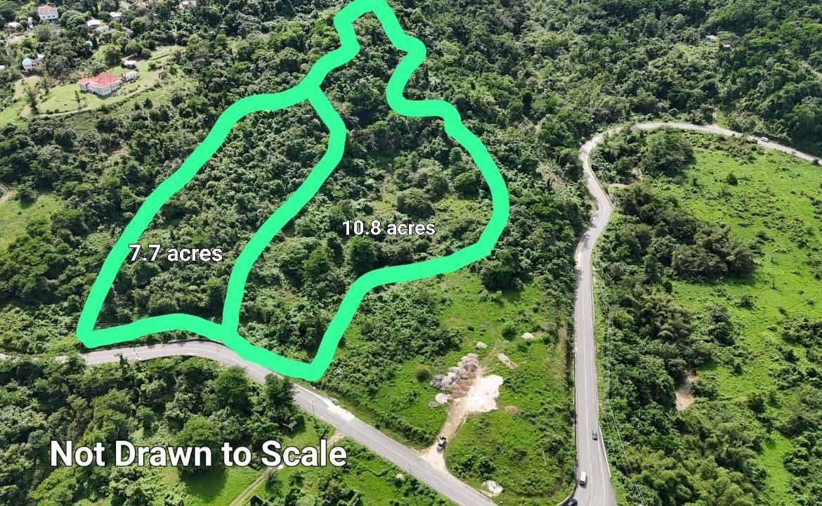 First image of Williamsfield Portland in Williamsfield, Portland, Jamaica - property is For Sale