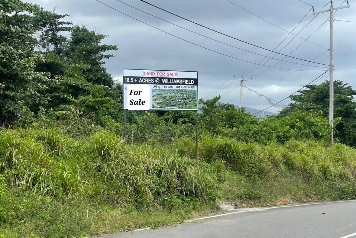 Fourth image of Williamsfield Portland in Williamsfield, Portland, Jamaica - property is For Sale